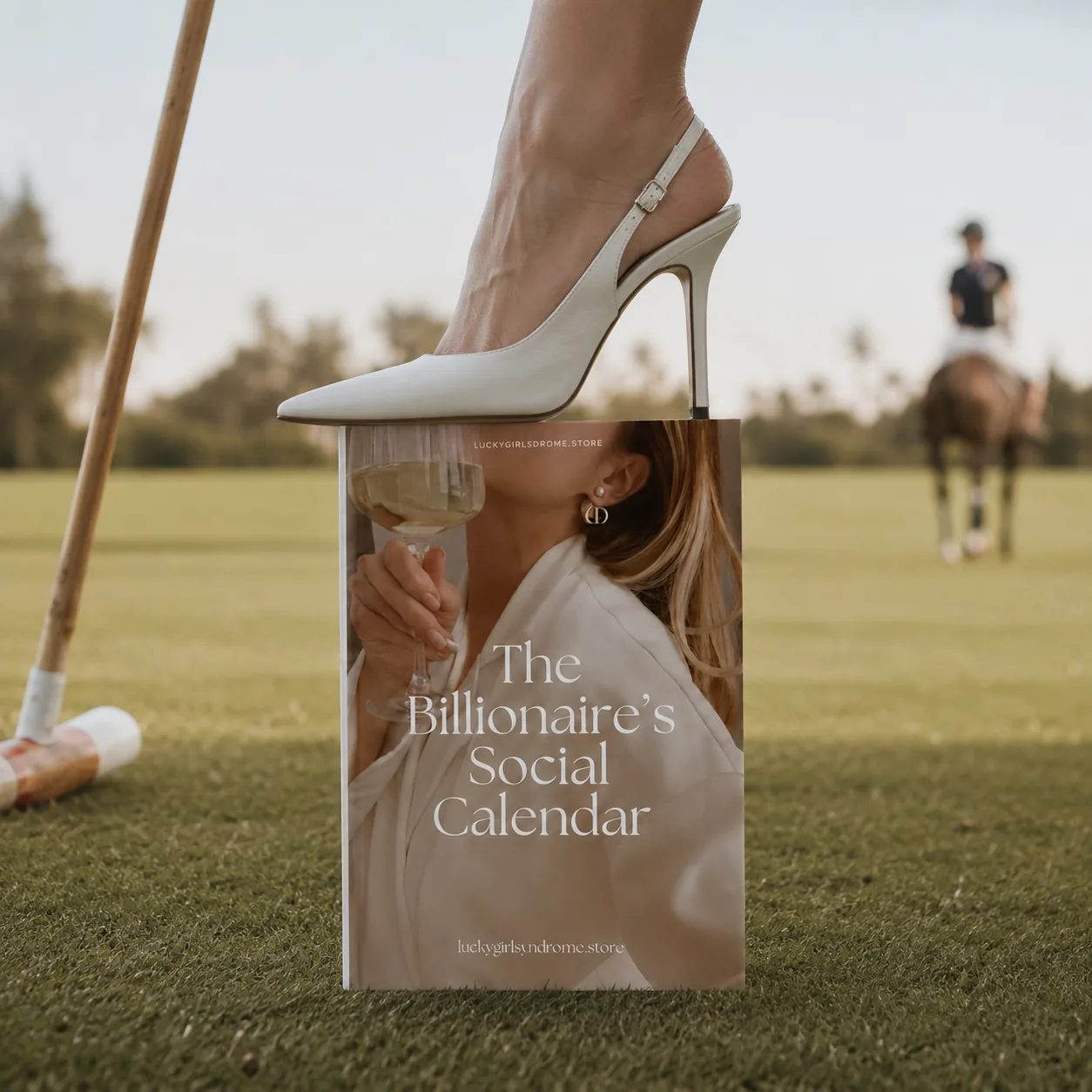 'The Billionaire's Social Calendar' book styled at a polo match, under a white heel